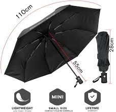Portable Umbrella